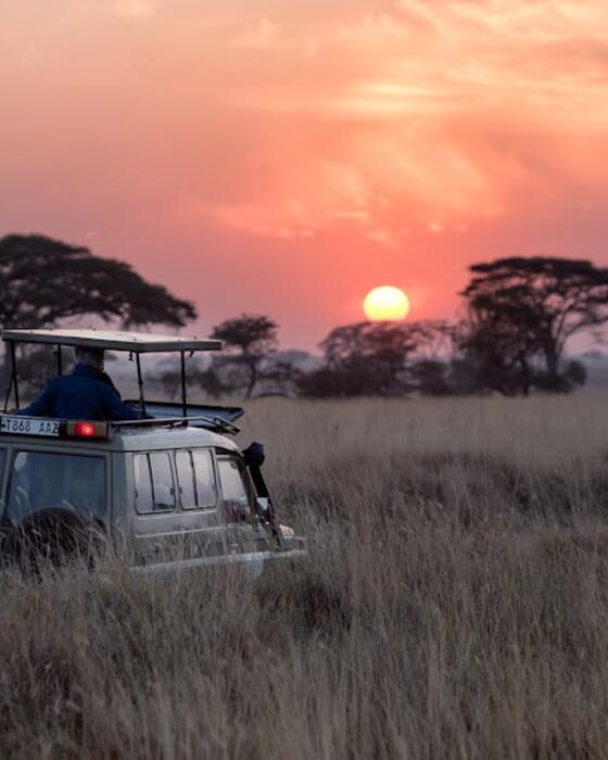 Traveler photo from a savanna sunset
